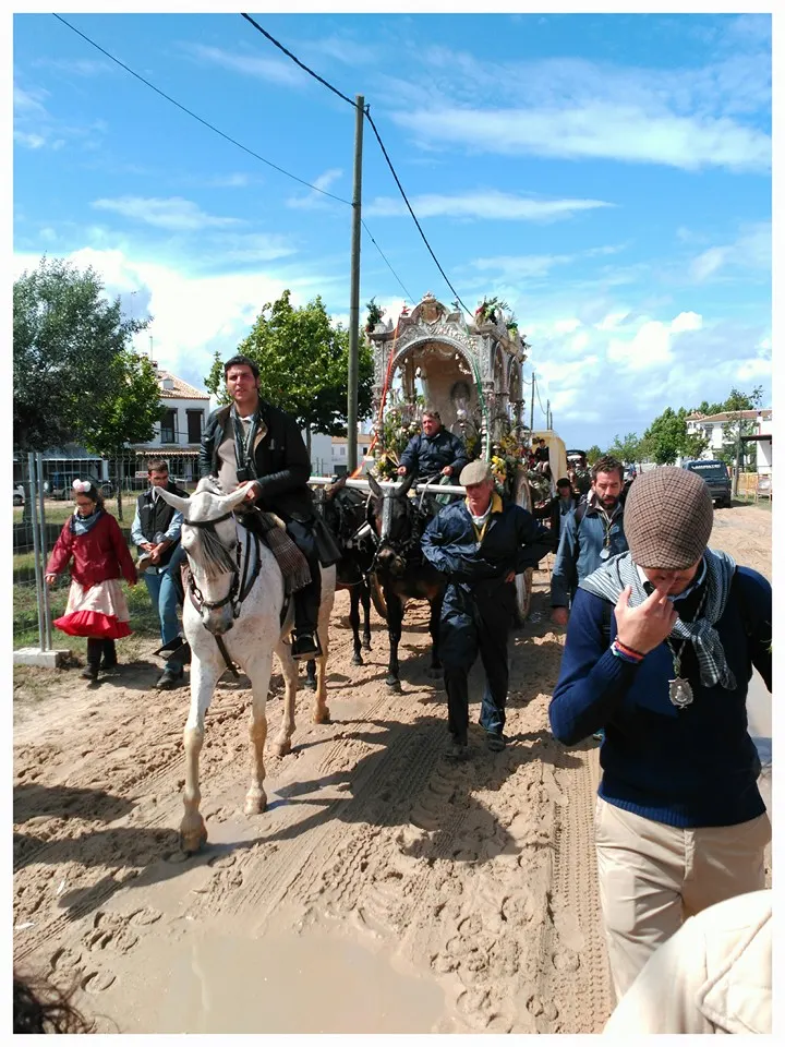 Trigueros al rocio 2016-4