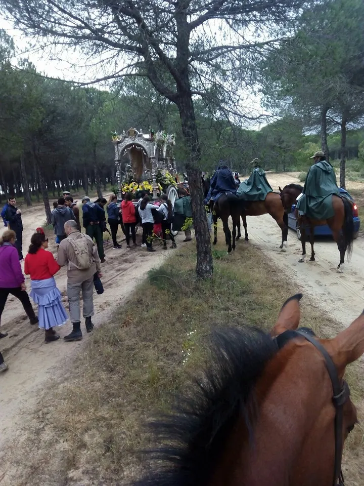 Trigueros al rocio 2016
