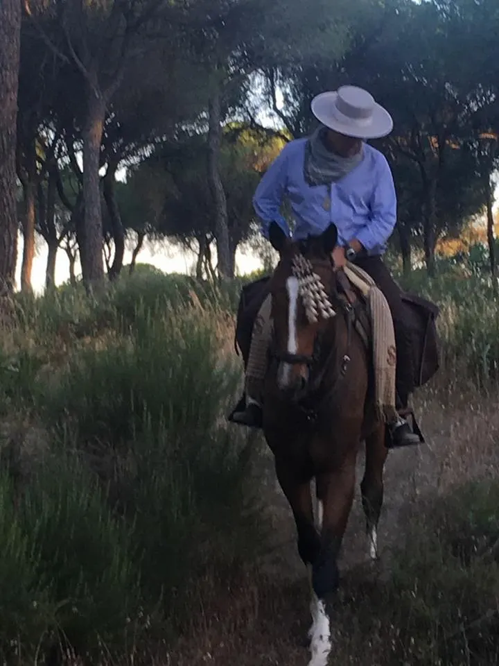 camino-1