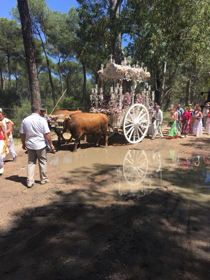 Malaga 2018-2