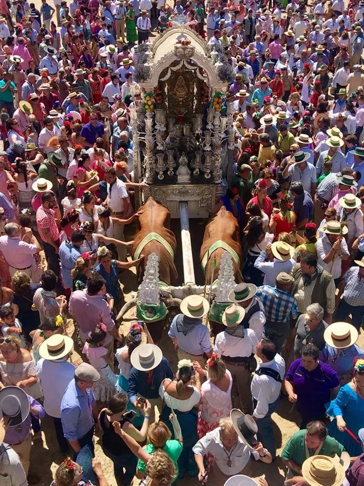Triana 2018-2