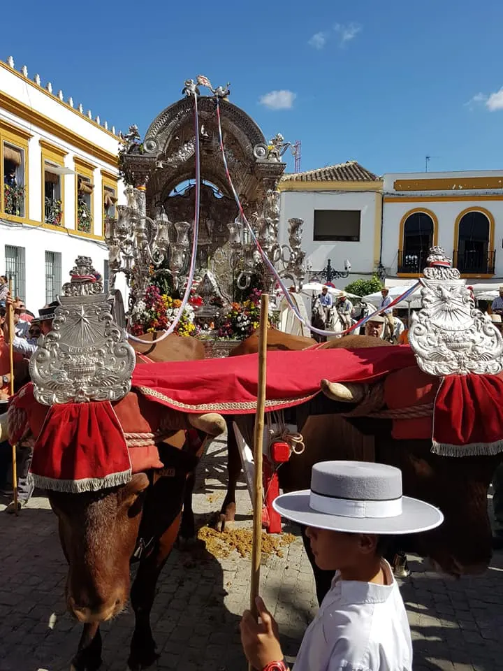 Momentos del Camino al Rocio 2019-Almeria