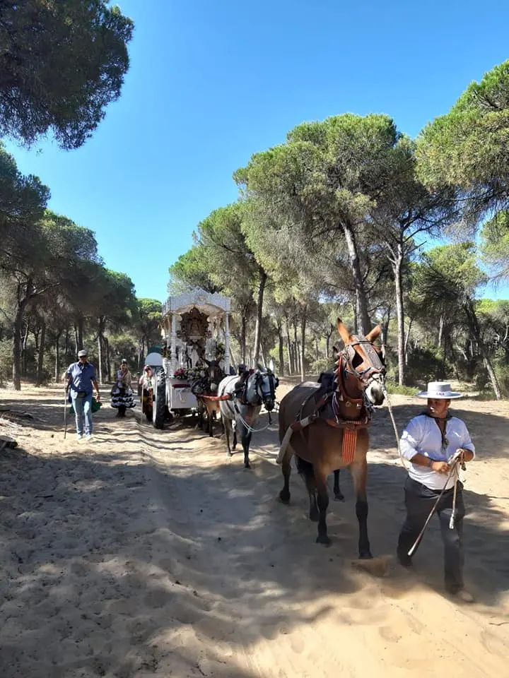 Momentos del Camino al Rocio 2019- Chiclana