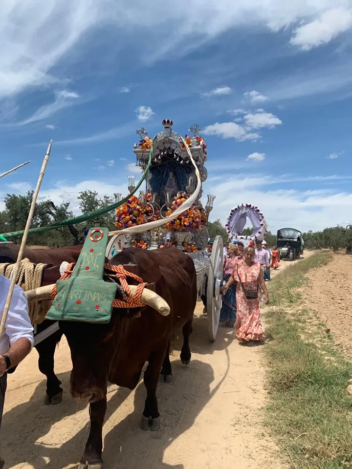 Momentos del Camino al Rocio 2019-Espartinas