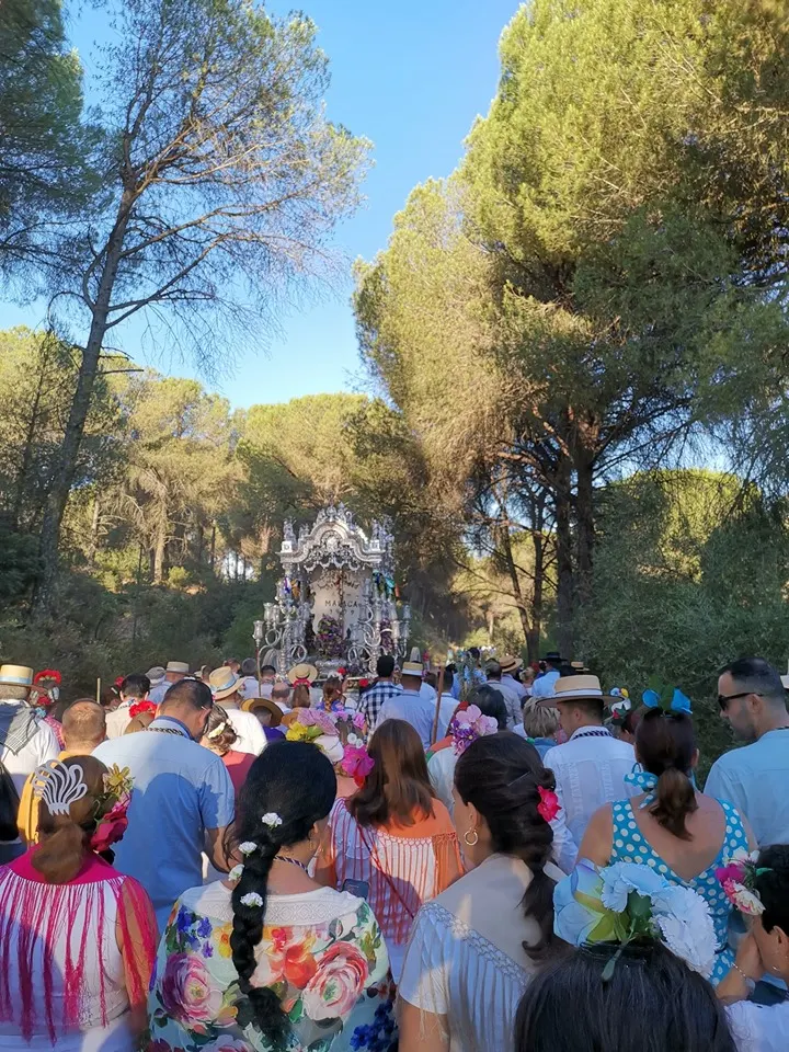 Momentos del Camino al Rocio 2019- Malaga-2