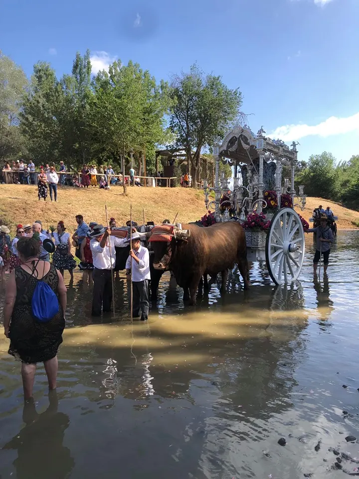 Momentos del Camino al Rocio 2019-Marbella