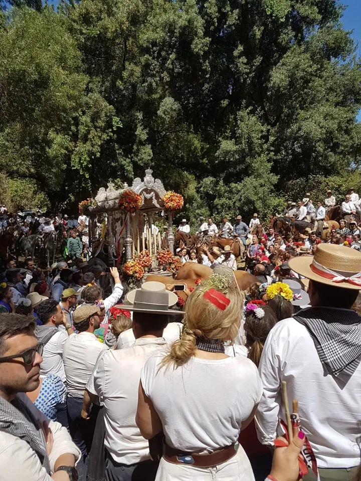 Momentos del Camino al Rocio 2019- Moguer-2