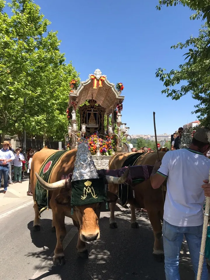 Momentos del Camino al Rocio 2019-Torrejon
