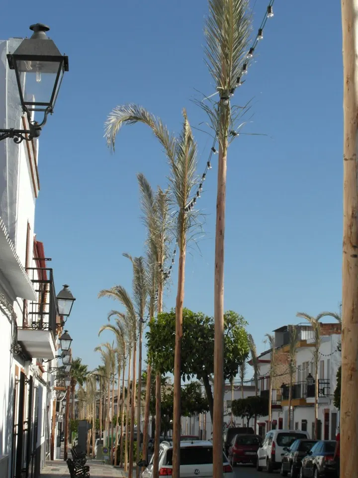 preparativos traslado virgen rocio 2019-19