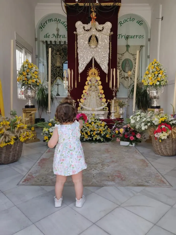 Trigueros rocio 2020