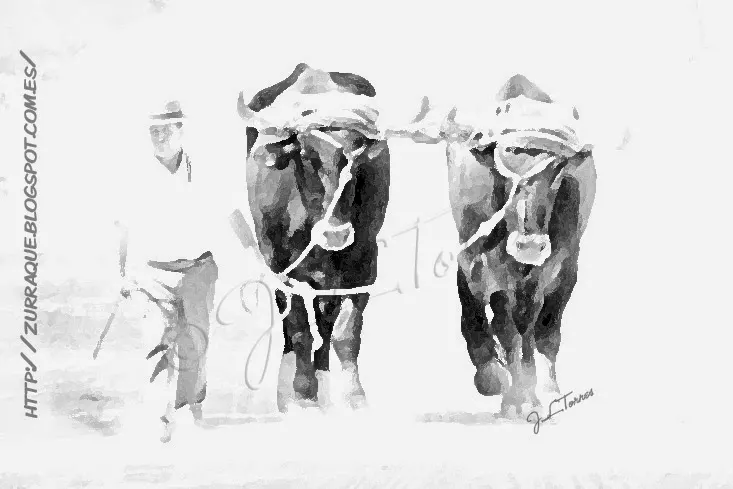 Jose Luis Torres - galeria -rocio.com-12
