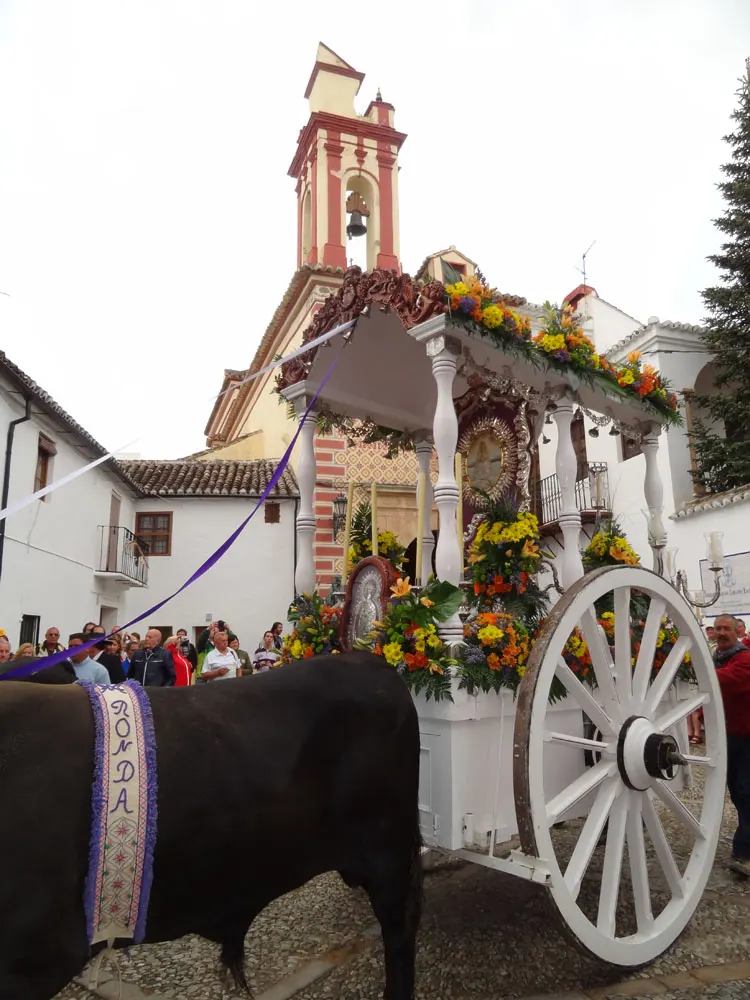 3088-rocio-ronda-Jose Aviles-Rocio-2012 398 (39)