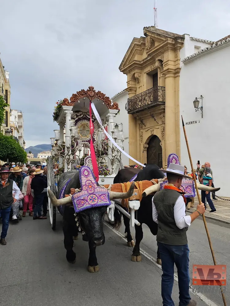 Ronda-8-Momentos del camino rocio 2023