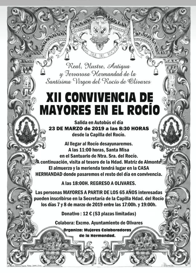 Olivares convivencia mayores 2019