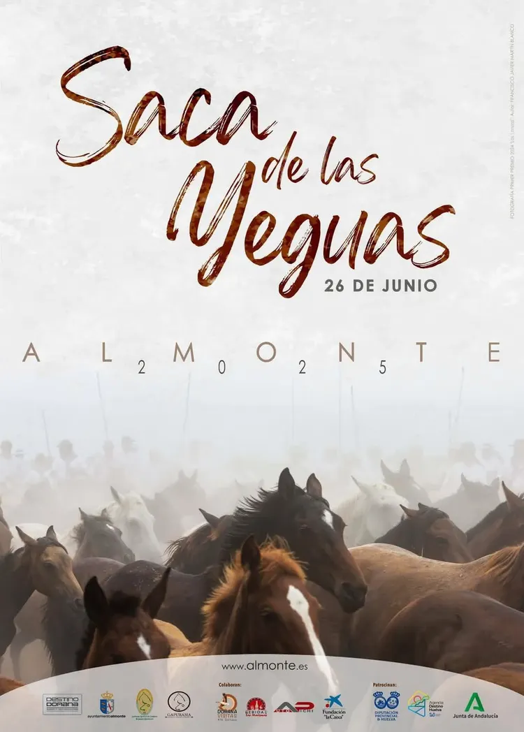 Saca de yeguas en almonte rocio 2025