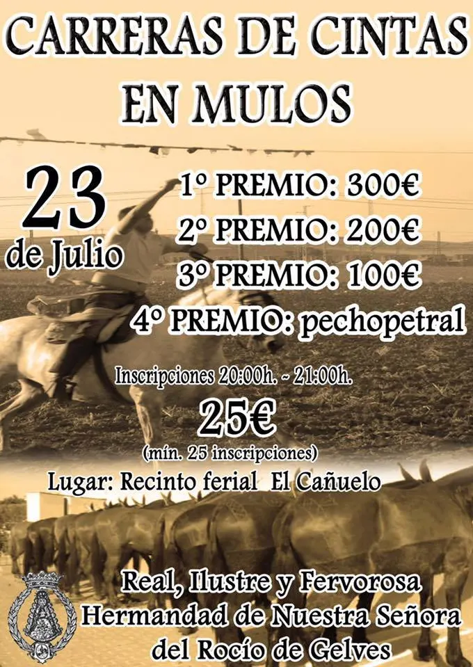 Gelves carrera de cintas en  mulos