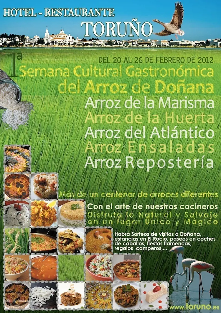3448-A3-Arroz-Toruno3-RGB.jpg