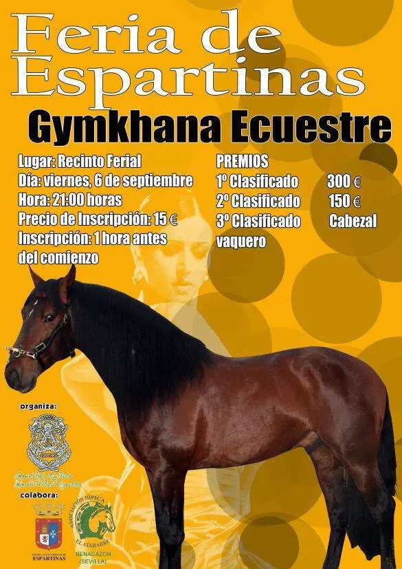 4761-espartinas-ginkana.jpg