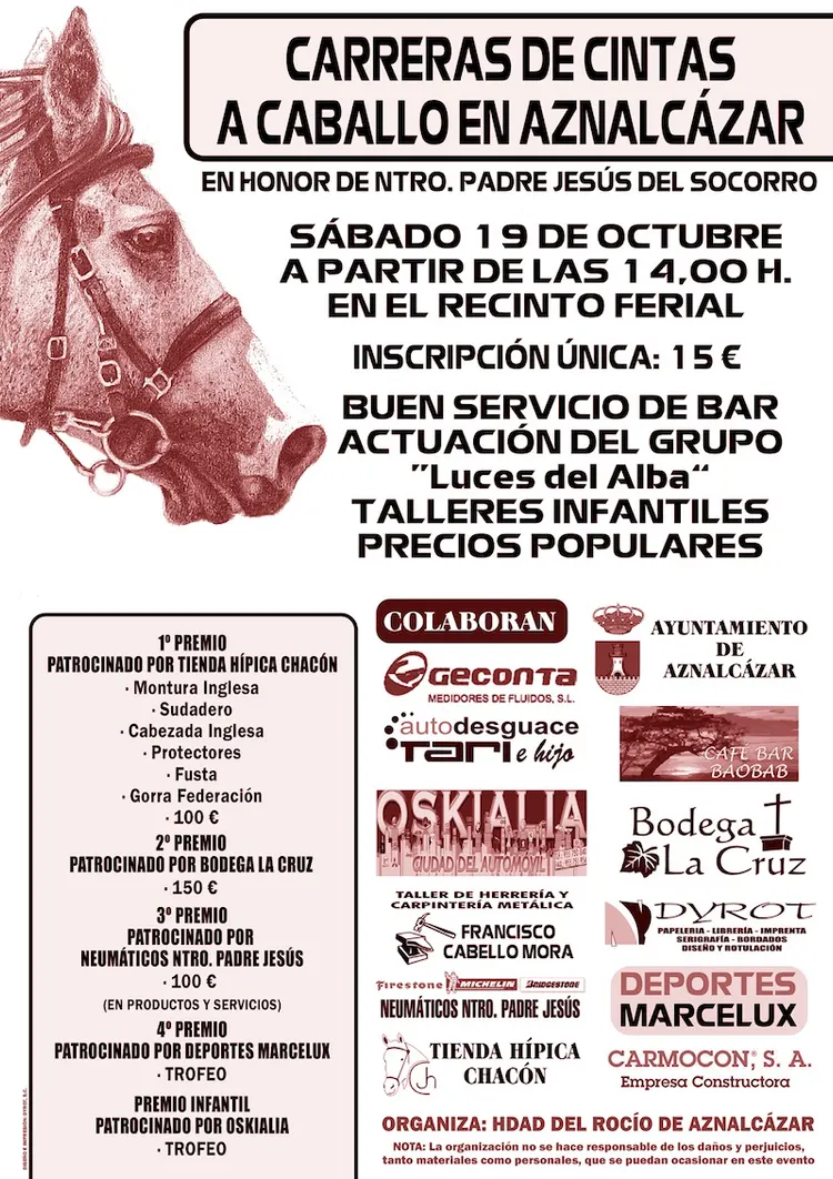 4830-cartel-hdad-rocio-carrera-cintas.jpg