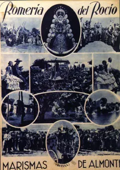 1935_std.jpg