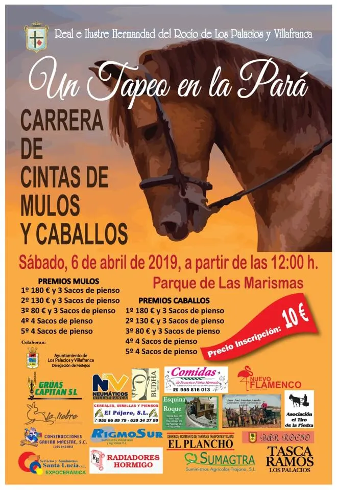 Los palacios rocio carrera de cintas