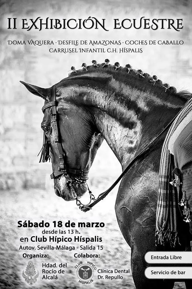 Alcala Guadaira II ecuestre