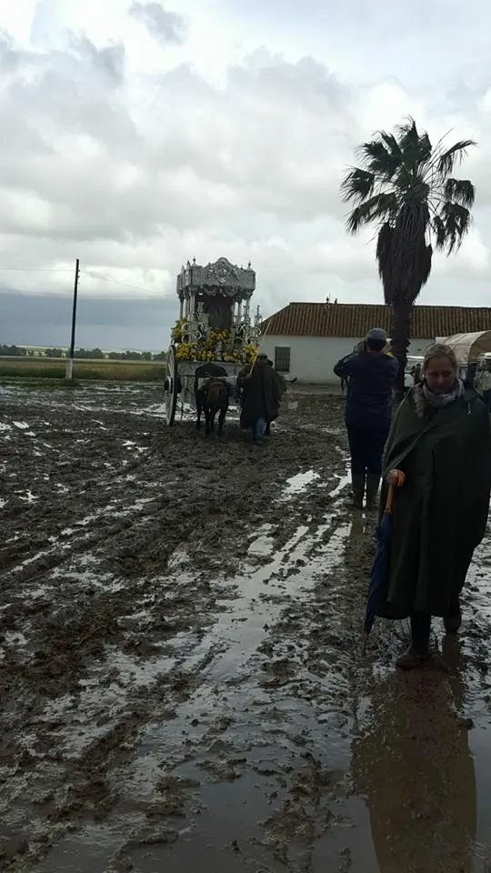 Ecija camino 2016