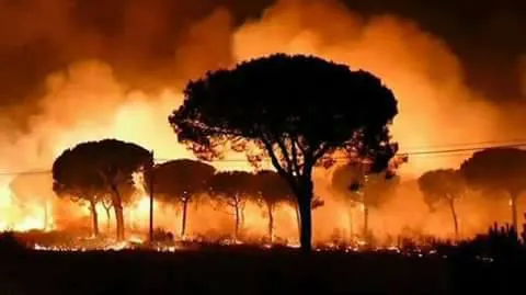 incendio doñana -1