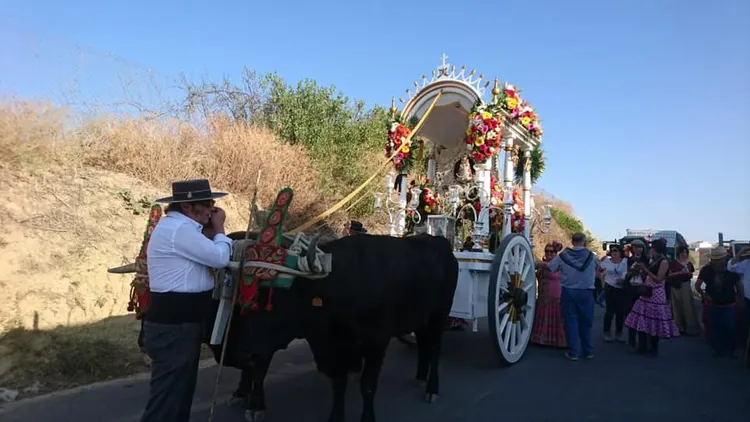 Momentos del Camino al Rocio 2019-San Antonio de Portmany