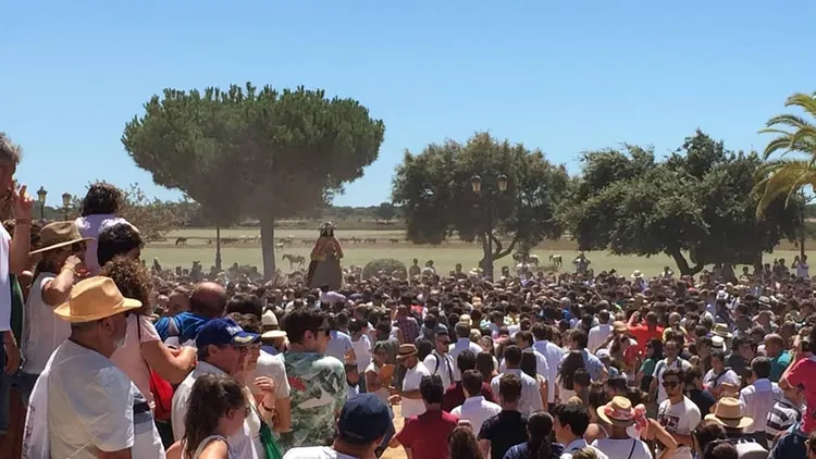 Traslado Rocio 2019 calle-7
