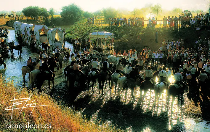 fotografia-ramon.leon-andalucia-romeria.rocio-virgen.rocio-hermandad.rocio.coria-_271_H0 r4_k_firm