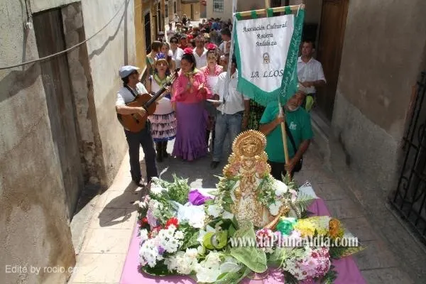 3111-llosa.jpg