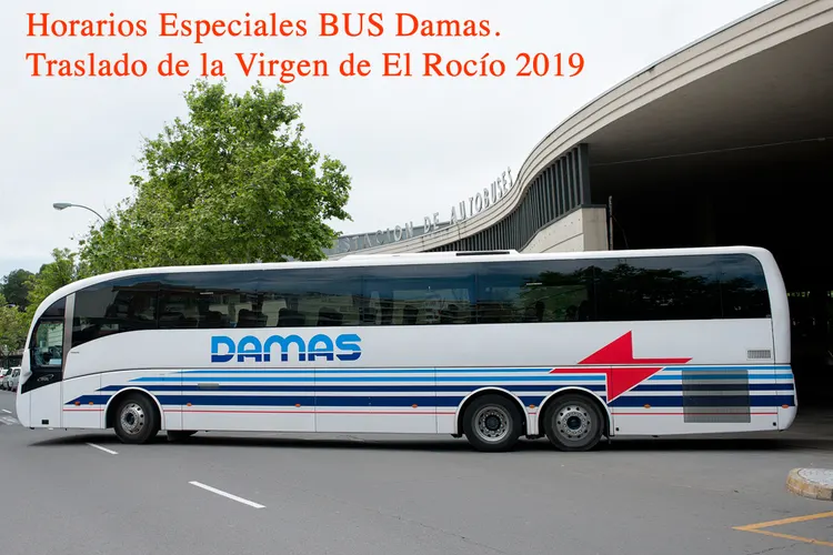 damas-bus horarios traslado 2019