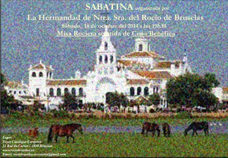 5562-Sabatina-HermandadRocio-bruselas-20141018.jpg