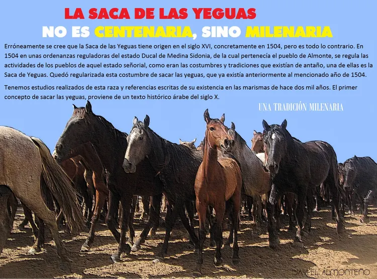 saca de yeguas milenaria