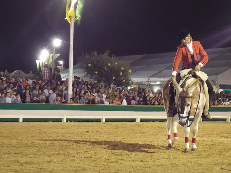 5514-para-en-gines-2014---burro-caramelo.JPG