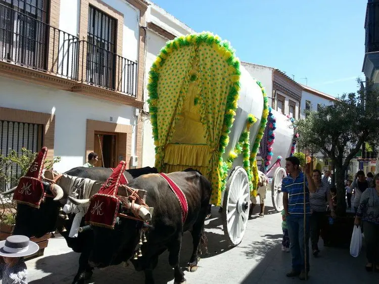 Gines carreta solidaria 2015