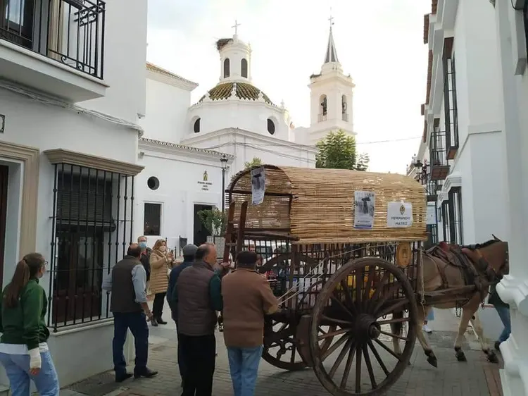matriz rocio mete el hombro 2021
