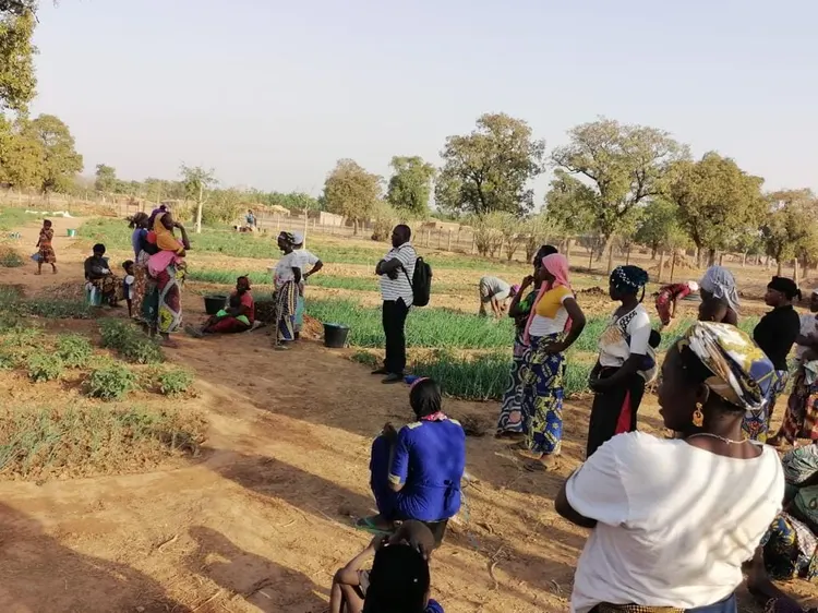 Ofrenda foro del Rocio 2019 Pozo agua en Mali-15
