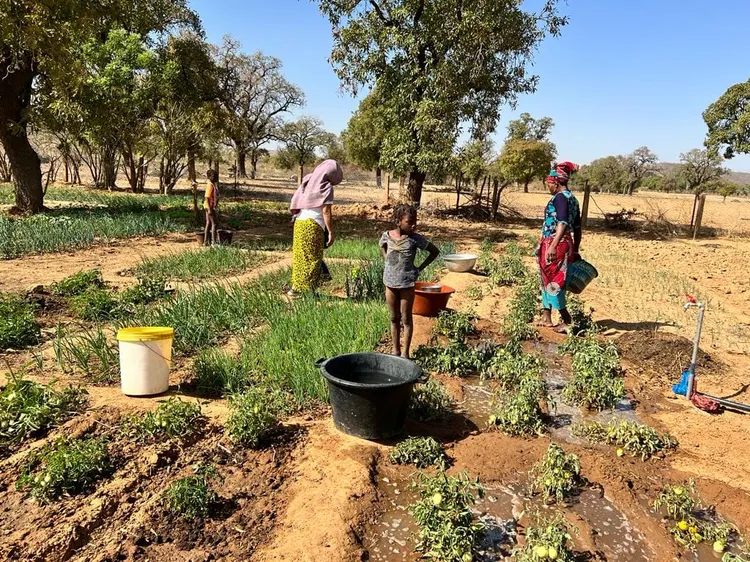 Ofrenda foro del Rocio 2019 Pozo agua en Mali-25