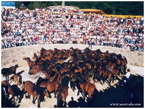 galicia12.gif