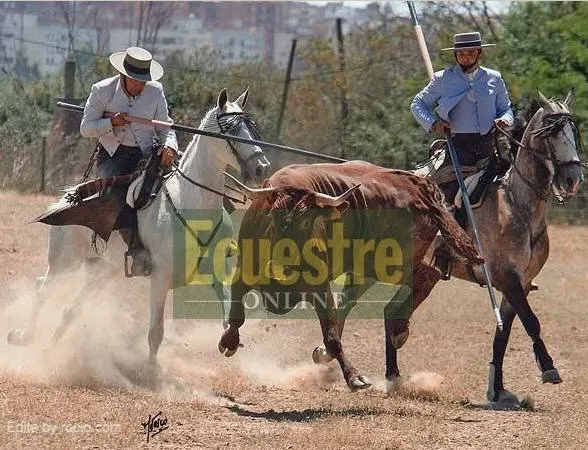 1290-garrollistas.jpg