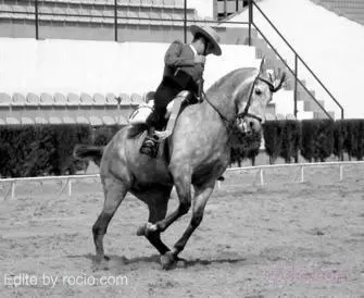 doma1.jpg
