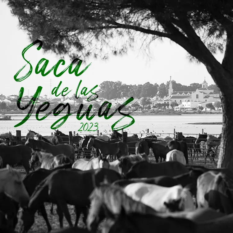 saca yeguas 2023