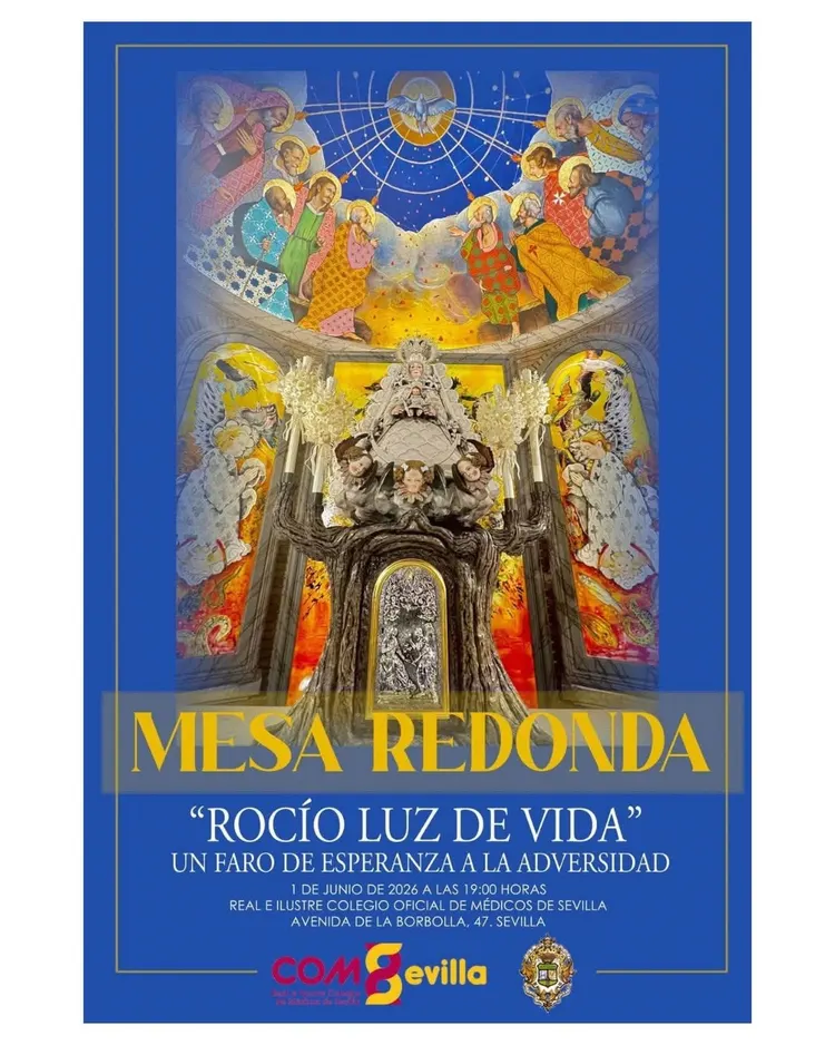 Mesa redonda rocio colegio médico sevilla