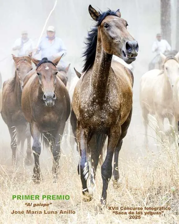 saca yeguas 2026 José María Luna Anillo,