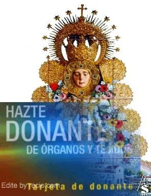 1336-rociodonantes.jpg
