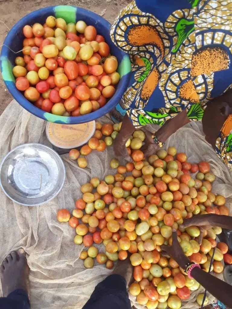 Ofrenda foro del Rocio 2019 Pozo agua en Mali-2