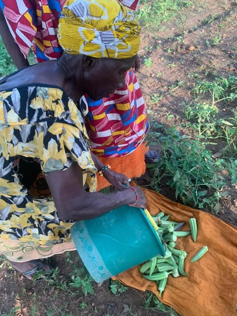 Ofrenda foro del Rocio 2019 Pozo agua en Mali-7