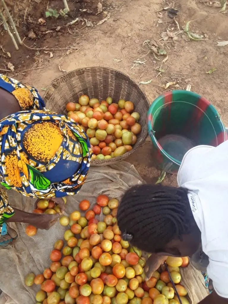 Ofrenda foro del Rocio 2019 Pozo agua en Mali-8